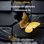 cengizcelik.2 profile picture