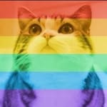cenkpasizmir profile picture