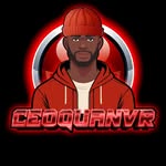 ceoquanvr profile picture