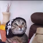 cesarzurit profile picture