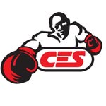 cesboxing profile picture