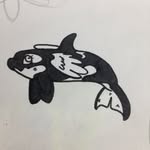 cetaceans_should_be_free profile picture