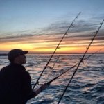 cguszack profile picture