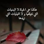 cha.elouazzani1757 profile picture