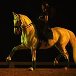 chae___p profile picture