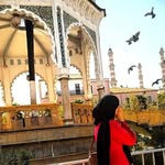 chaima_belhamra profile picture