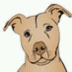 chakopitbullrescue profile picture