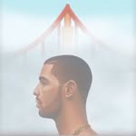 champagnefoggy profile picture