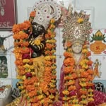 champt_raj profile picture