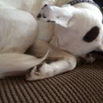 chanceman_gram profile picture