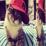 chancimkhleya profile picture