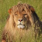 chandan_sharma3072 profile picture