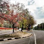 chandigarh__lovee profile picture