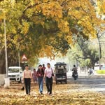 chandigarh_vibes_only profile picture