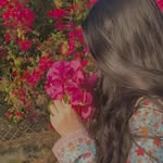 chandndi786 profile picture