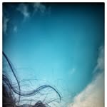 chandni_kumari_parjapati profile picture