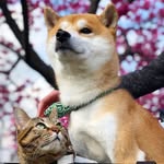 chanella171 profile picture