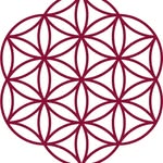 changeforbalance profile picture