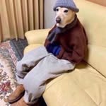 chapo102 profile picture