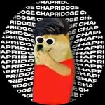 chapridoge profile picture