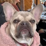 charcharlittles profile picture