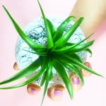chargedglassworks profile picture