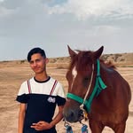 charifmohamd84 profile picture