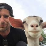 charlesbrisgand profile picture