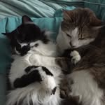charlieandscarlet profile picture