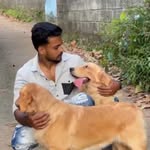 charlie_kennel_tvm profile picture