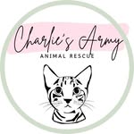 charlies__army profile picture