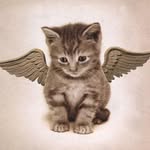 charlottemaary profile picture