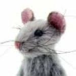 charlottesmice profile picture