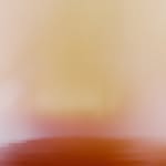 chasezalewski profile picture