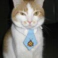 chasingkidsandcats profile picture