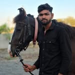 chavdahardiksinh827 profile picture