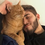 cheddarkorn profile picture