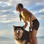 cheechosdios profile picture