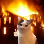 cheeseyblackramen profile picture