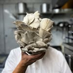 chef.cabeza profile picture