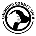 chemungspca profile picture