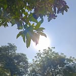 chetna_j19 profile picture