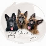 chewie.jax.flint.the.gsds profile picture