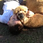 chew_paca profile picture