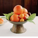 chezpanisse profile picture