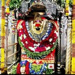 chhoti_rajput_946 profile picture