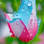 chhotu10992 profile picture