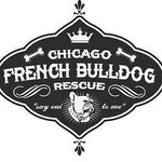 chicagofrenchbulldogrescue profile picture