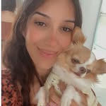 chicchihuahua profile picture