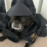 chicosfleamarket profile picture